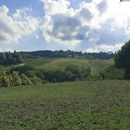 Croara
